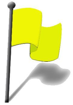 yellow flag image